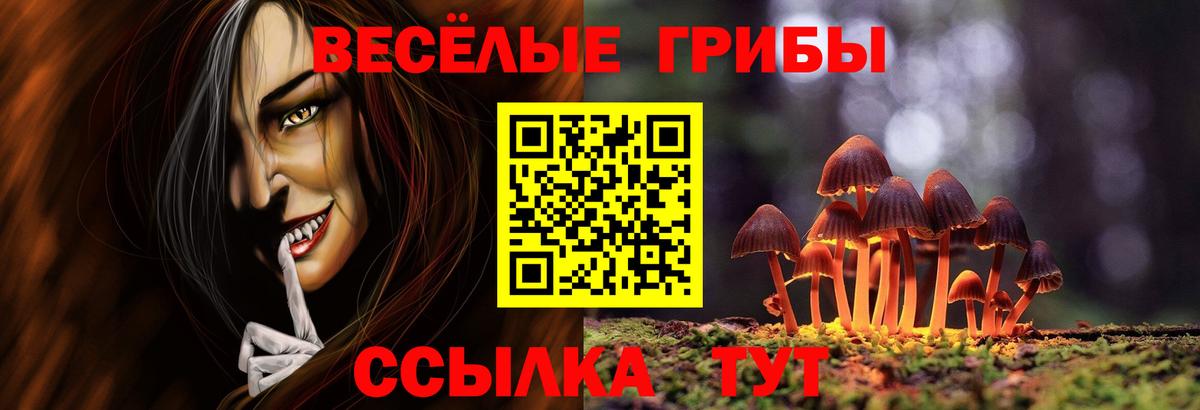 Псилоцибиновые грибы Psilocybe Элиста